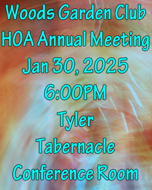 Annual HOA Meeting